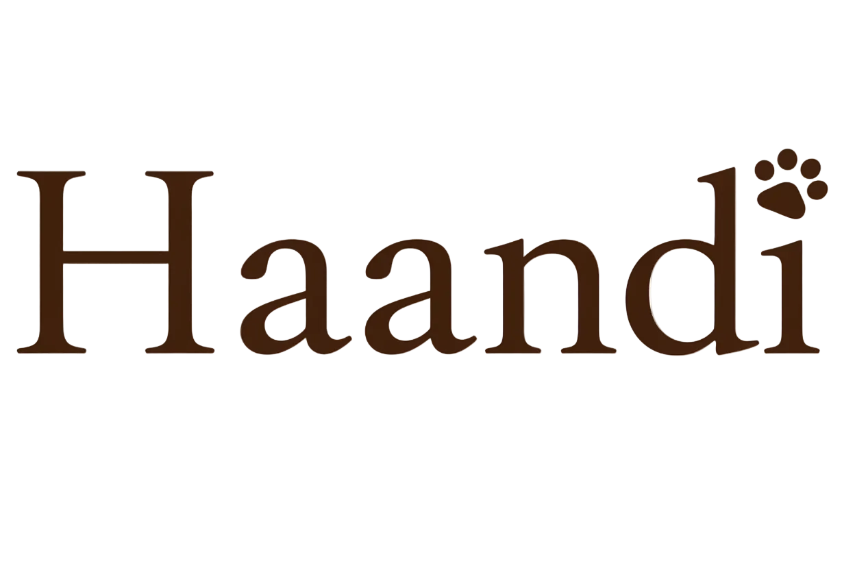 Haandi